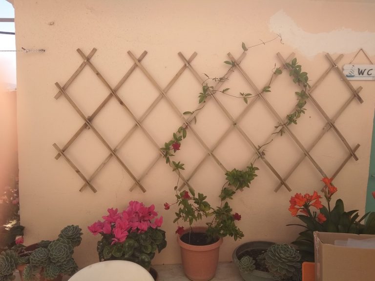 Stone house for sale in Chania external flowers