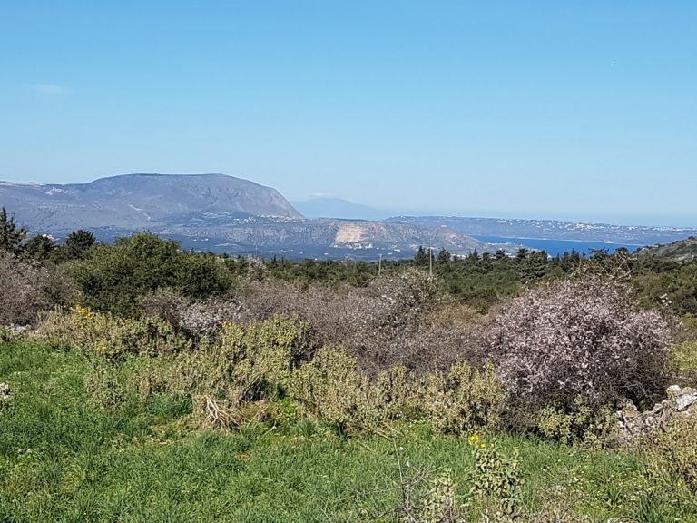 Plot of land for sale in Apokoronas Chania Crete with sea views