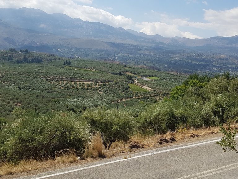 Plot of land for sale in Chania Crete access be an asphalt road