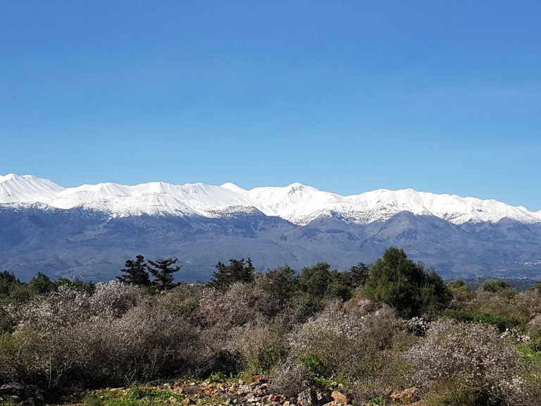 Plot of land in Apokoronas Chania Crete for sale with White Mountain views