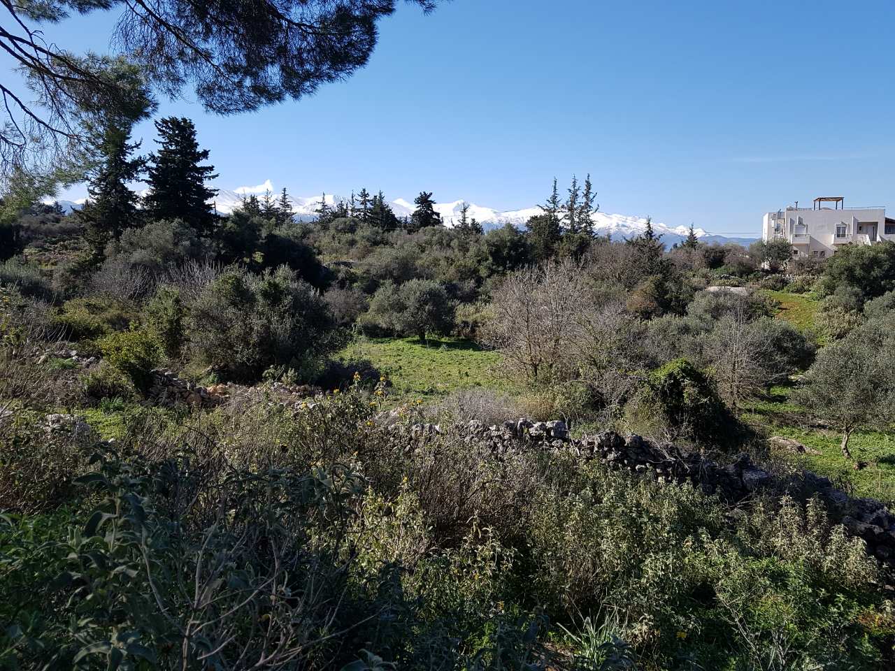 Plot of land in Apokoronas Chania Crete for sale with mountain and countryside views
