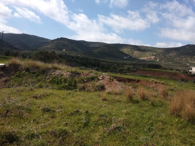 Plot of land in Kastelli Kissamos Chania Crete for sale with sea and mountain views