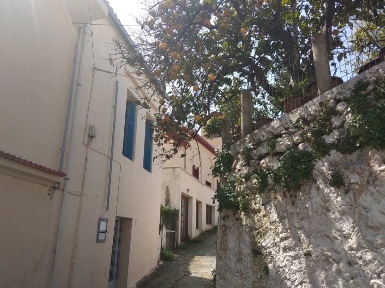 Stone house for sale in Chania external tree