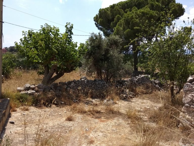 Stone house for sale in Apokoronas trees