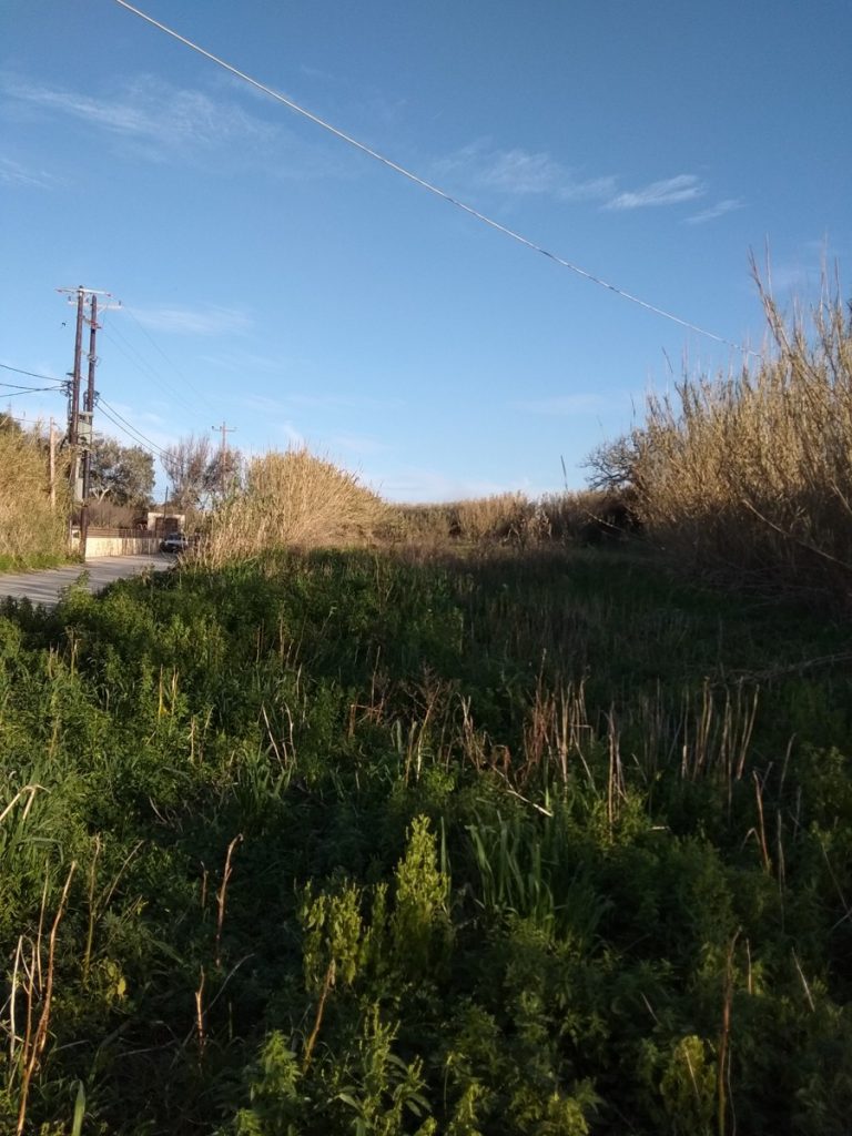 Land for sale near Platanias Chania