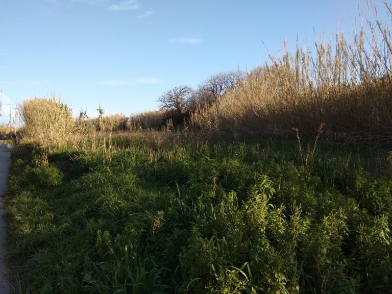 Land for sale near Platanias Chania plot view