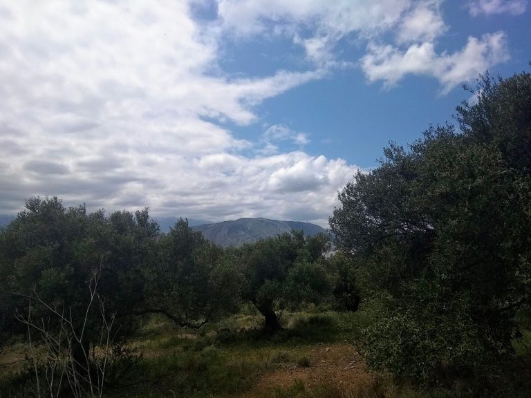 Plot of land for sale in Chania Akrotiri
