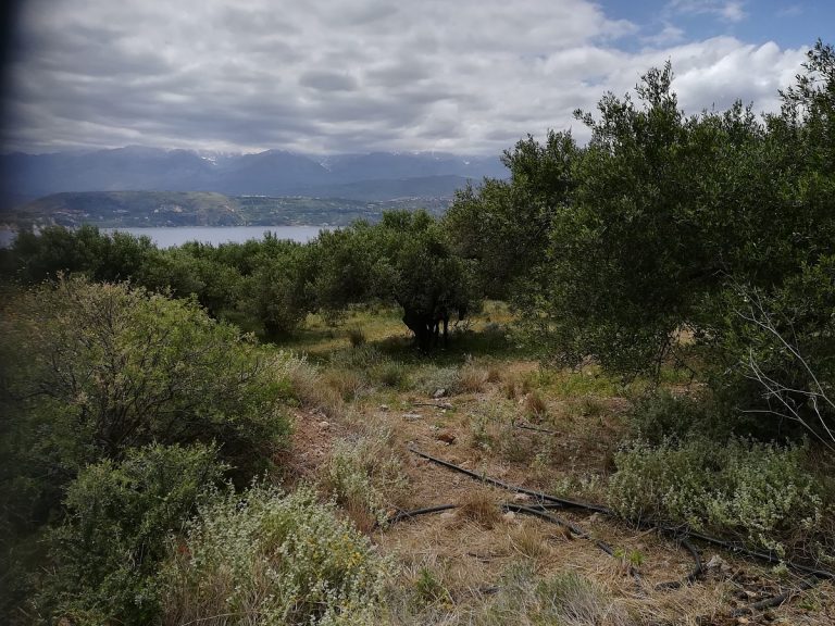 Plot of land for sale in Chania Akrotiri amazing view