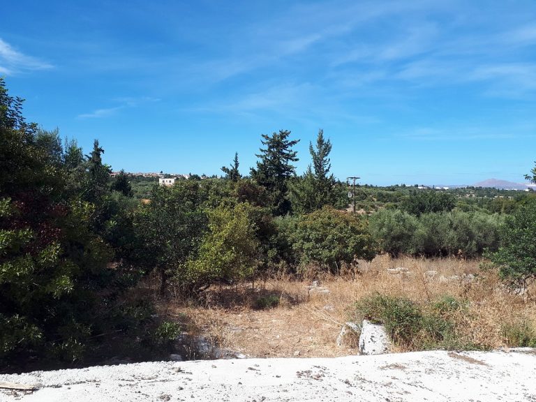 landf for sale in chania crete trees
