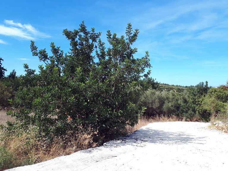 land for sale in chania crete side view
