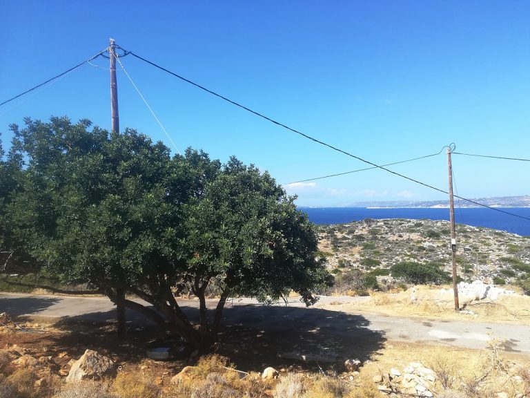 land for sale with sea views in chania tree