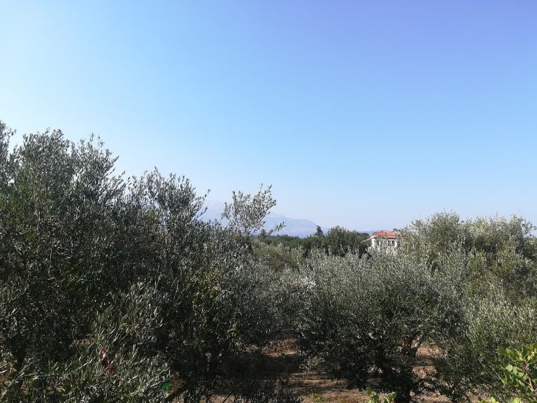 land for sale in chania