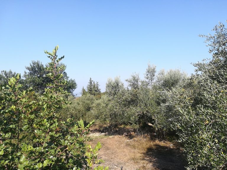 land for sale in chania