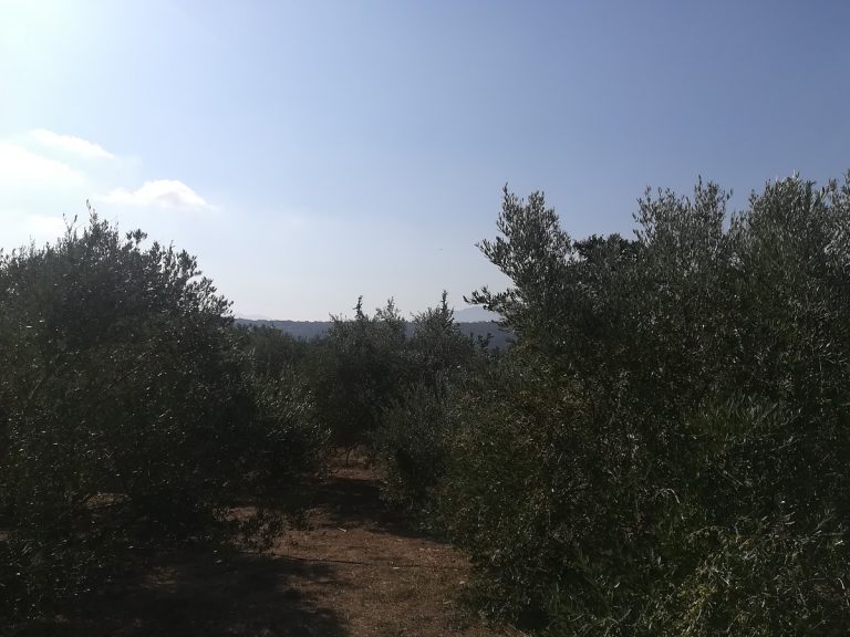 land for sale in chania