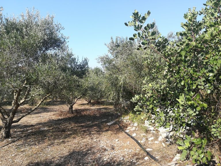 land for sale in chania