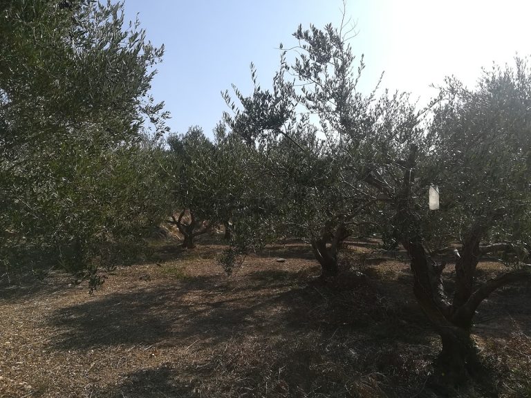 land for sale in chania