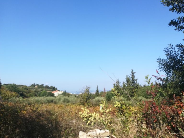 land for sale in chania