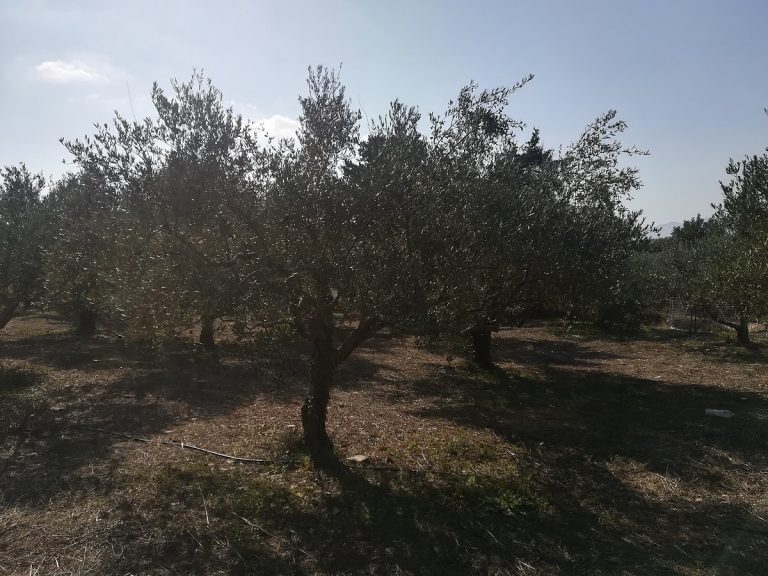land for sale in chania