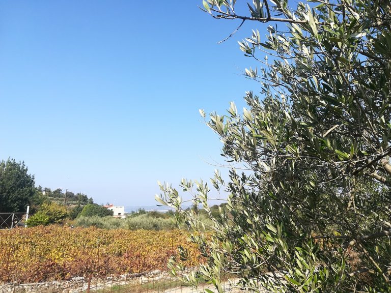 land for sale in chania