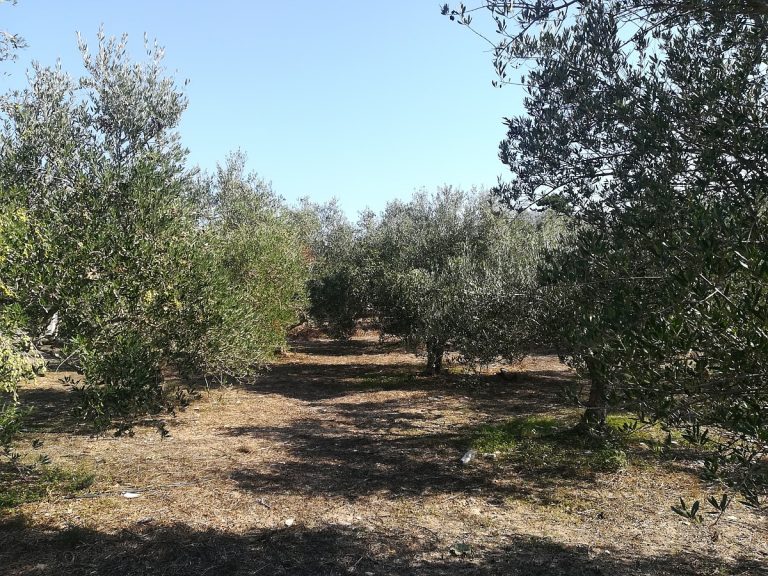 land for sale in chania