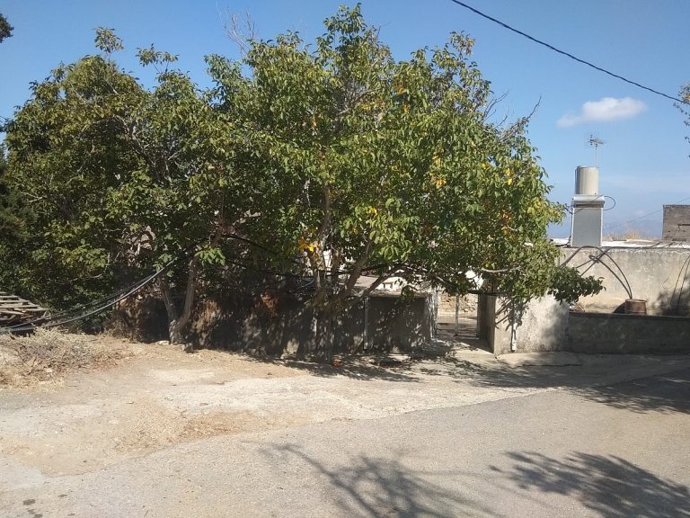 Old stone house for sale in Kissamos Chania Crete external ch105