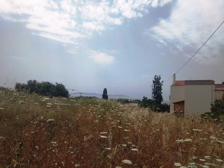 Plot of land in Akrotiri Chania Crete for sale al246