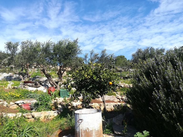 land for sale in akroriti crete garden
