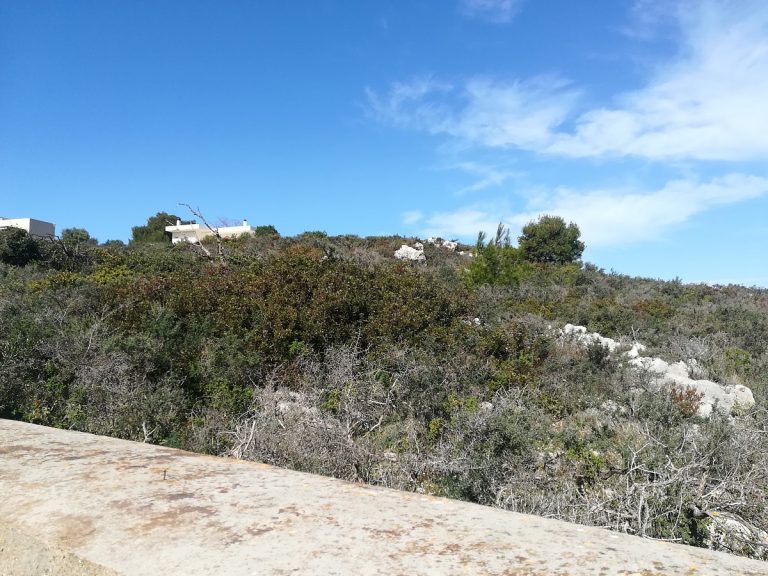 land for sale in akrotiri crete