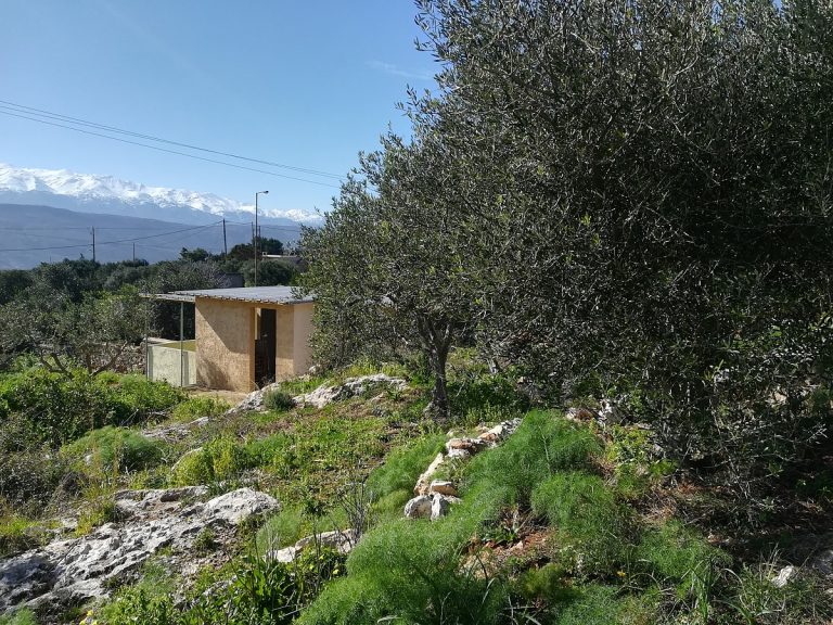 land for sale in akrotir crete shed