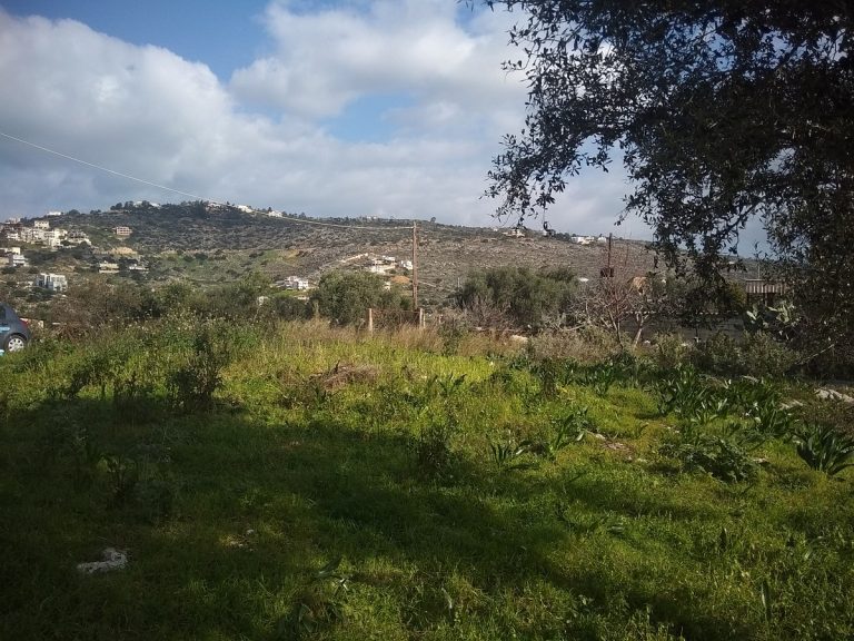 Plot of land in Chania Crete for sale countryside al255