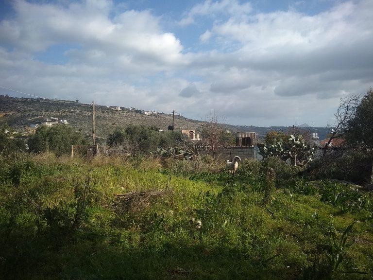 Plot of land in Chania Crete for sale in nature al255