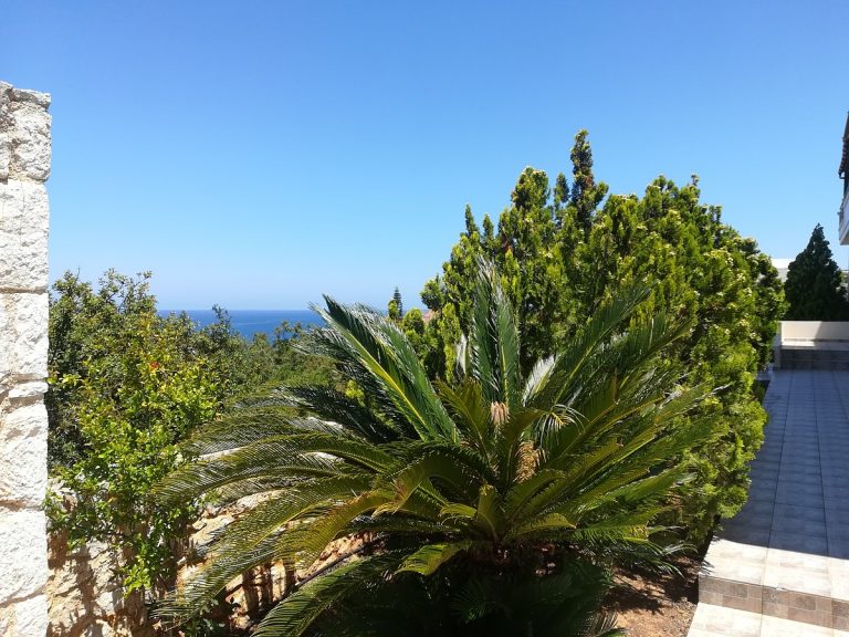 apartment for sale in akrotiri crete garden and sea view