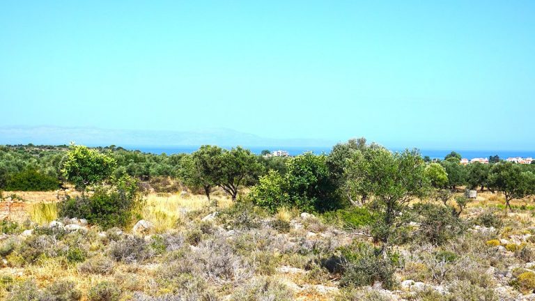 Plot of land in Akrotiri Chania Crete for sale with sea views AL257