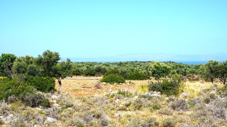 Plot of land in Akrotiri Chania Crete for sale flat plot AL257