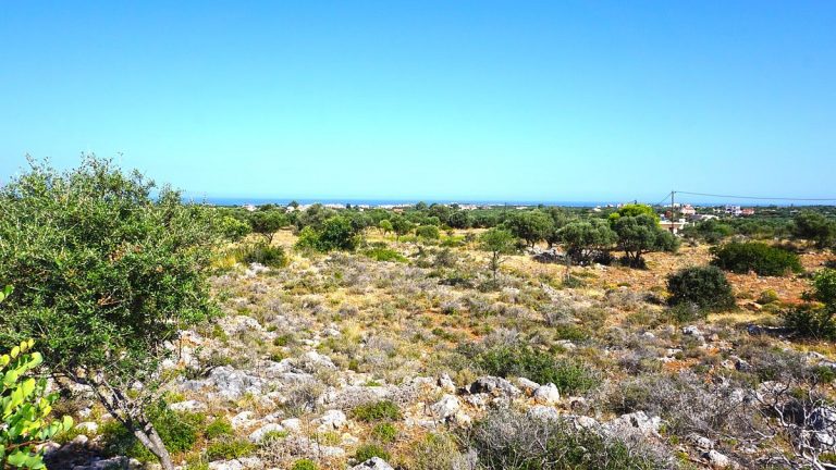Plot of land in Akrotiri Chania Crete for sale rocky parts AL257