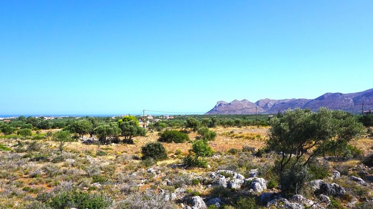 Plot of land in Akrotiri Chania Crete for sale views of Stavros mountian AL257
