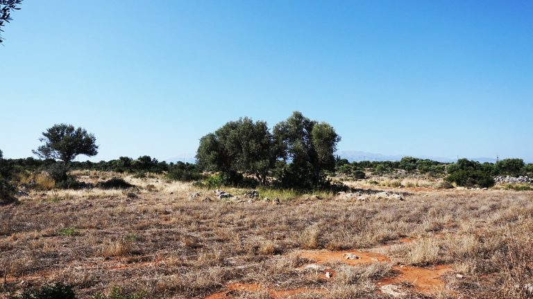 Plot of land in Akrotiri Chania Crete for sale with views AL257