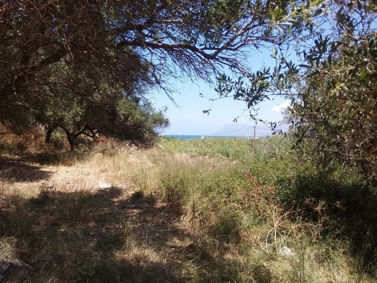 Plot of land in Kissamos Chania Crete for sale with views CL079