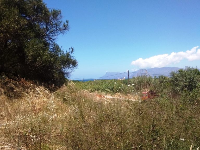 Plot of land in Kissamos Chania Crete for sale with high density CL079