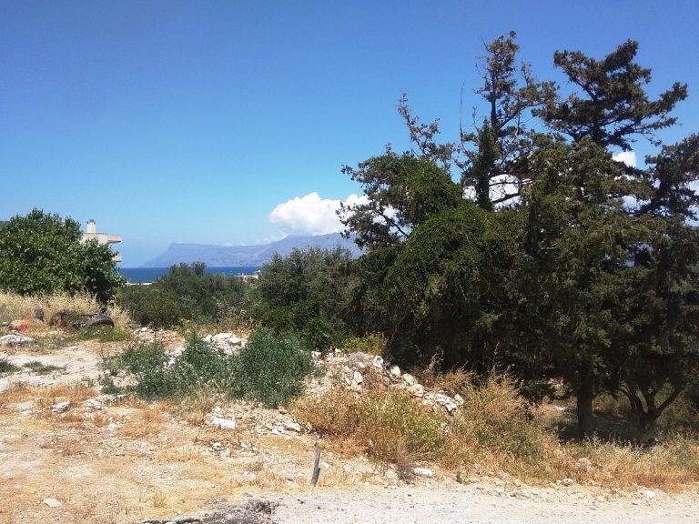 Plot of land in Kissamos Chania Crete for sale with trees CL079