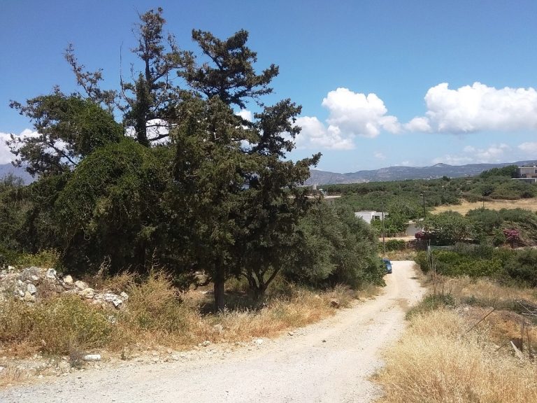 Plot of land in Kissamos Chania Crete for sale access road CL079