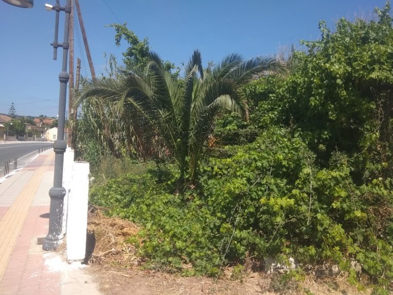 Plot for sale in maleme platanias chania cl086 the plot