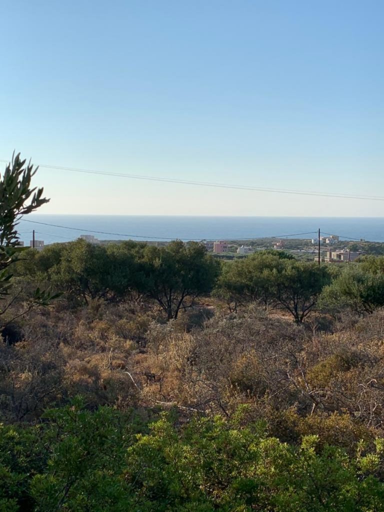 Land for sale in Akrotiri al260 horizon