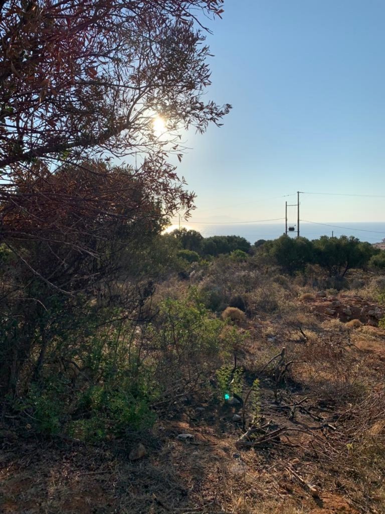 Land for sale in Akrotiri al260 sun and sea