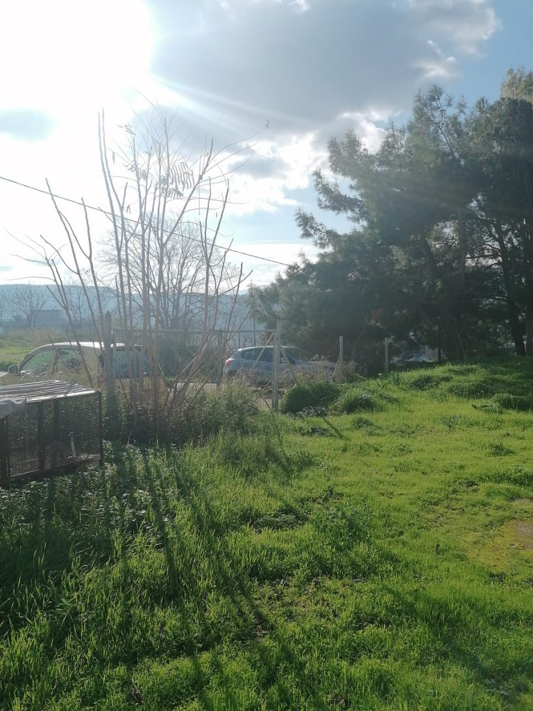 Land for sale in Vlites cl093 sun view