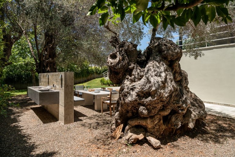 villa for sale in chania ch138 stunning olive tree