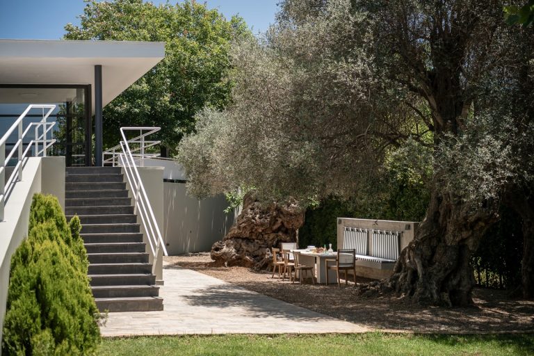 villa for sale in chania ch138 staircase and olive trees