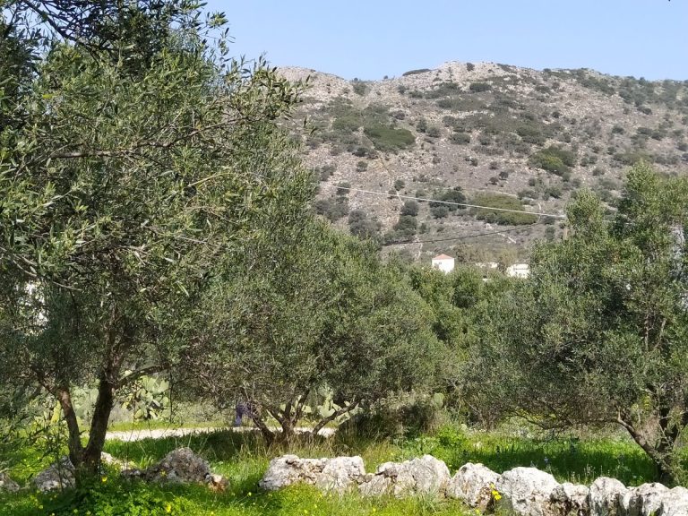 land for sale in apokoronas kl446 mountain view