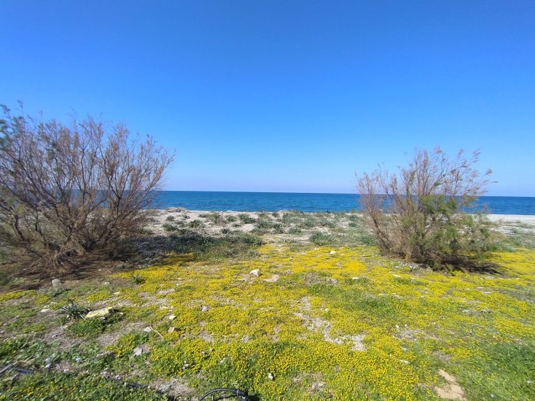 seafront land for sale in maleme chania cl097