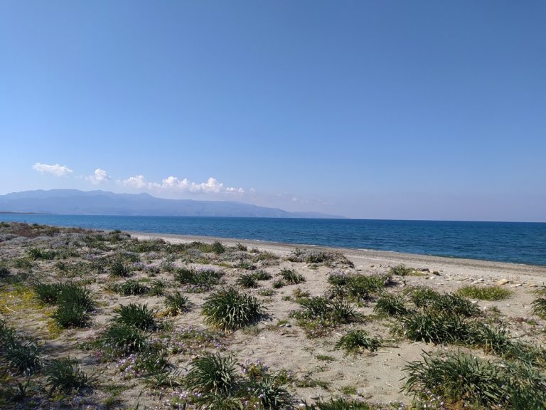 seafront-land for sale in maleme chania cl097